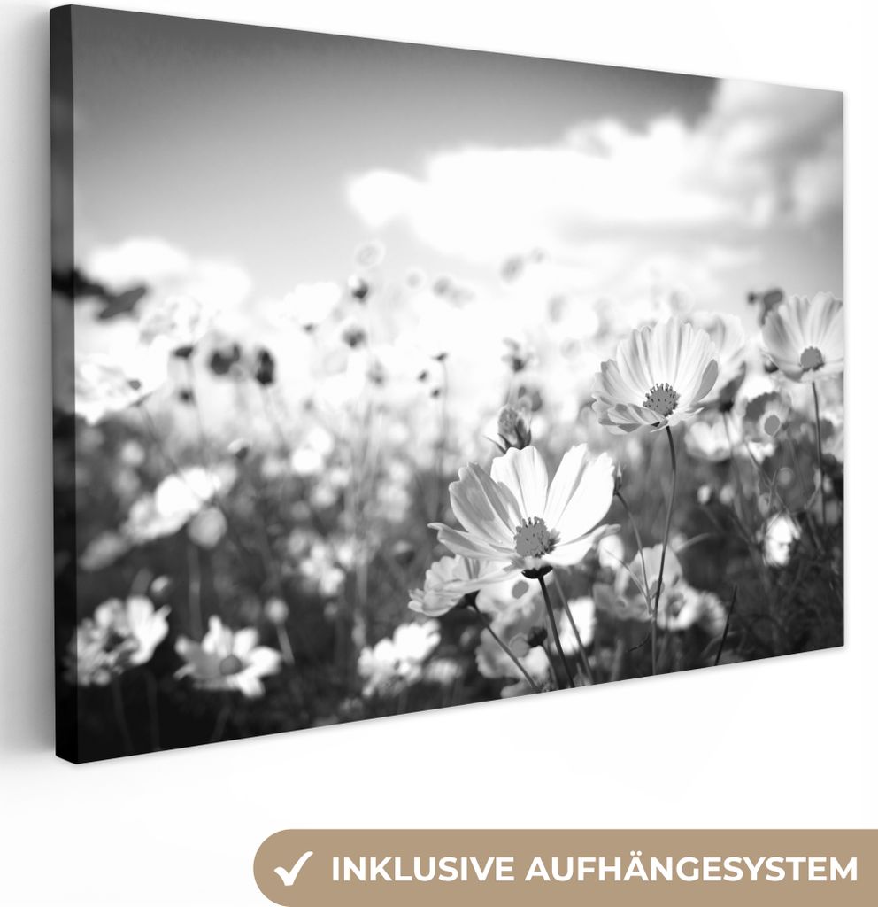 MuchoWow - Leinwandbilder - Blumen - Wiese - Lila - Gras - Weiß - Wolken - Blau, Wandbild, Wanddeko Bilder Wohnzimmer, 120x80 cm