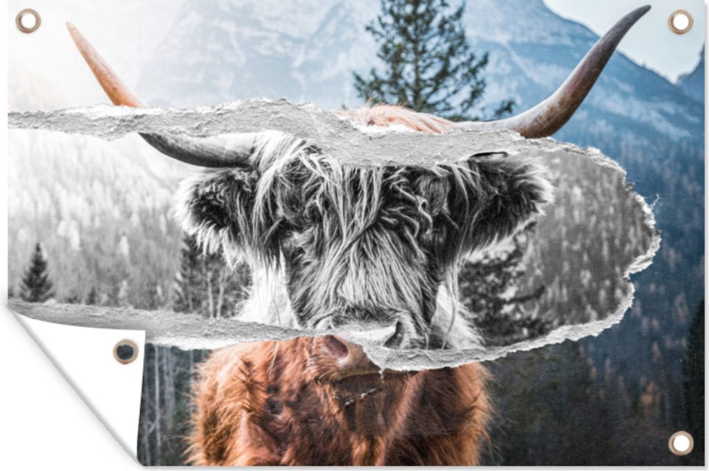 MuchoWow 120x80 cm Outdoor-Poster Gartendeko Sichtschutz Garten Poster für den Garten Schottischer Highlander - Kuh - Schwarz - Weiß