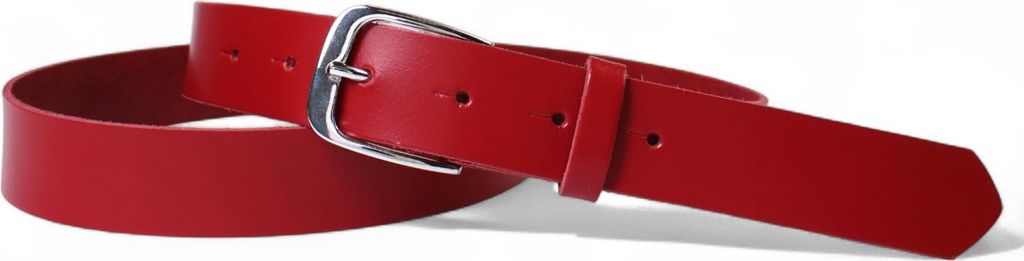 FRONHOFER Damen Ledergürtel 2,8 cm mit silber glänzenden Gürtelschnalle, echt Leder