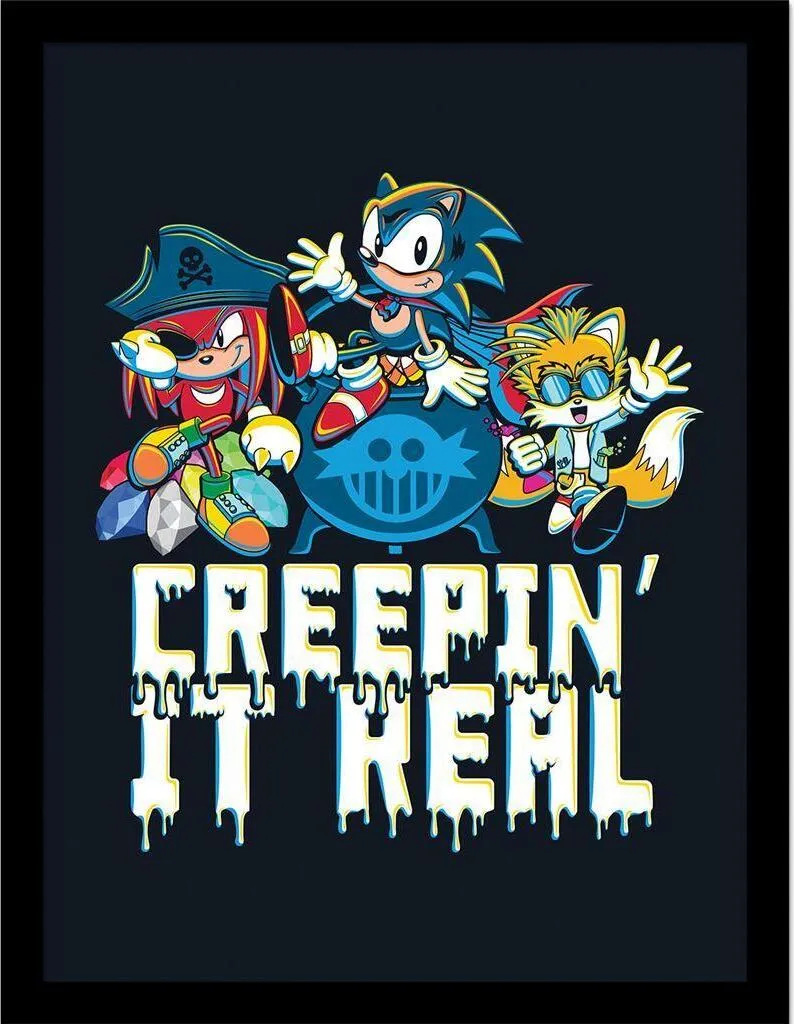 Decorazione Parete Sonic The Hedgehog Blu 40x30 - Poster Design Gaming