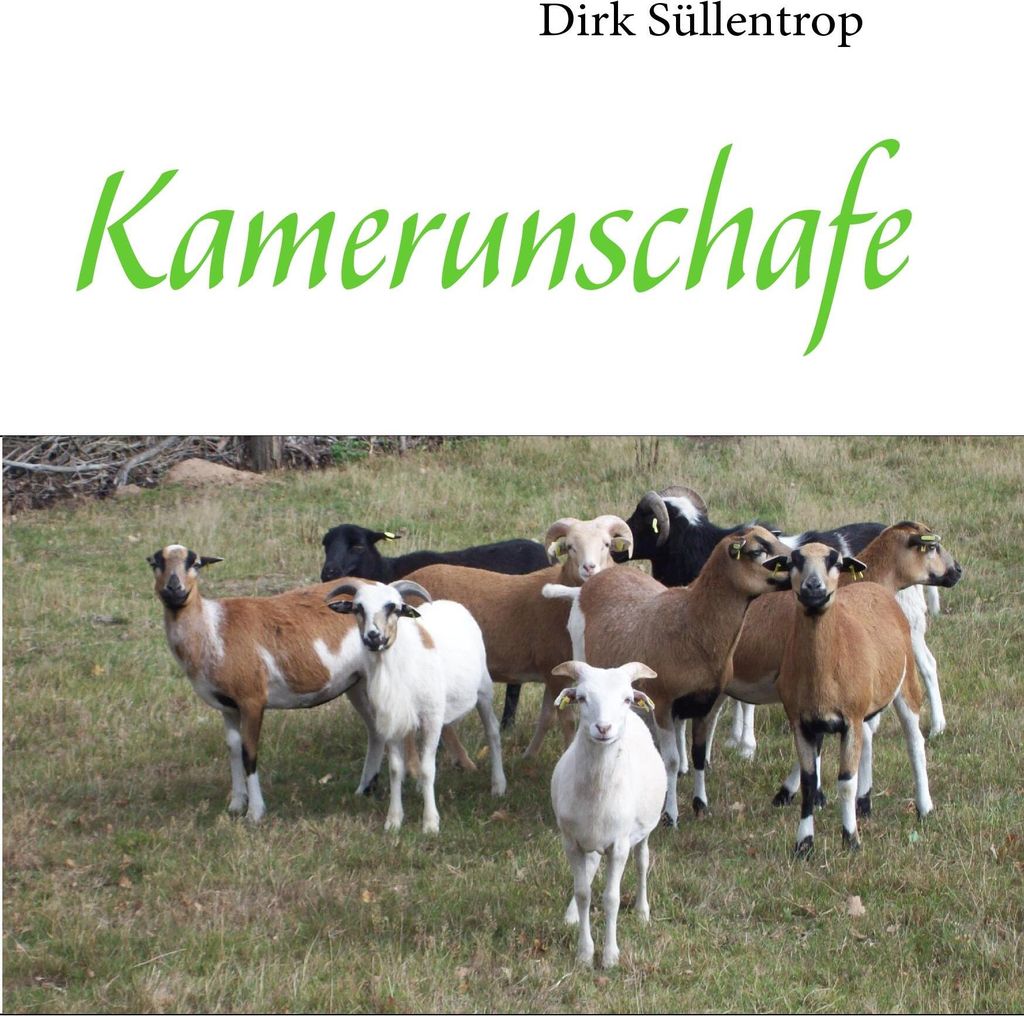 Kamerunschafe