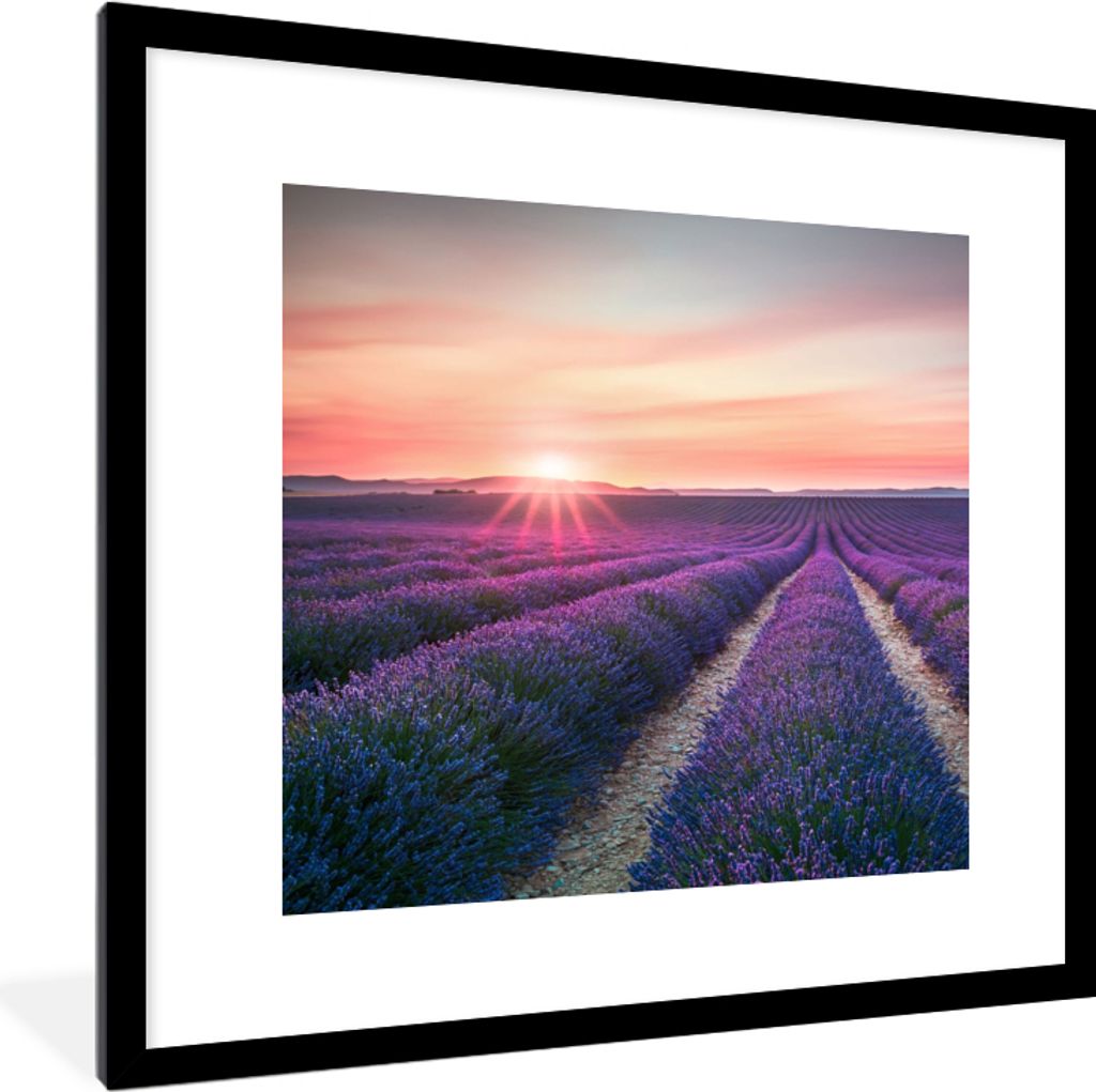 MuchoWow Gerahmtes Poster Lavendel - Lila - Blumen - Himmel 40x40 cm - Poster mit Schwarzem Bilderrahmen Wandposter Rahmen Foto Bilder - Poster -...