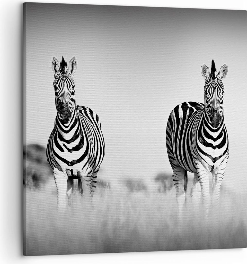 Bild auf Leinwand - Leinwandbild - Einteilig - Zebras Fotografie Schwarzweiß - 50x50cm - Wand Bild - Wanddeko - Wandbilder - Leinwanddruck - Bilde...