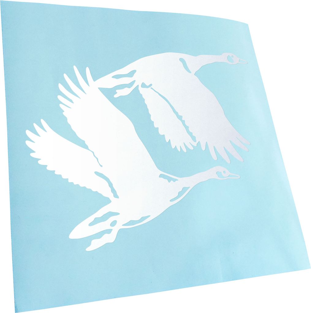 hauptsachebeklebt Kiwistar - Autoaufkleber - Enten - Flugenten - Duck Heckscheibe - Aufkleber für Auto Kfz Fahrrad, LKW, Truck Mofa