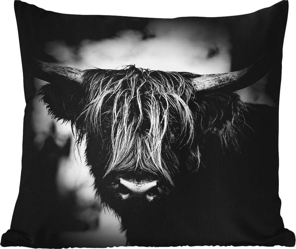 MuchoWow Outdoor Kissen - Schottisches Hochlandrind - Licht - Porträt - Natur - 40x40 cm - Wetterfest - Lounge Kissen - Kopfkissen - Interieur -...