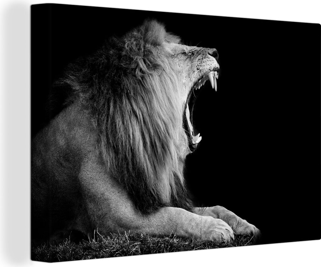 OneMillionCanvasses - Leinwandbilder - 140x90 cm, Löwe - Schwarz - Weiß - Tier, Wandbilder Kunstdruck Wanddekoration - Foto auf Leinwand - Gem...