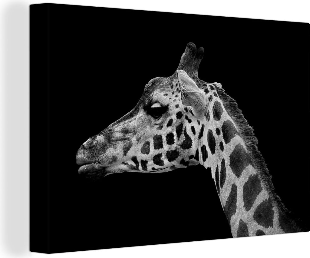 OneMillionCanvasses - Leinwandbilder - 150x100 cm, Tiere - Giraffe - Schwarz - Weiß, Wandbilder Kunstdruck Wanddekoration - Foto auf Leinwand - ...