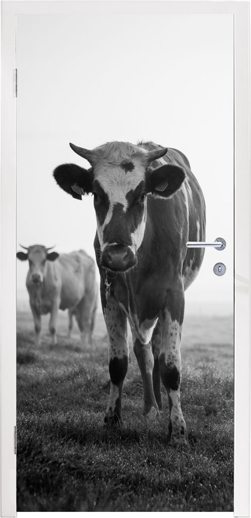 MuchoWow Türtapete Selbstklebende Türfolie Kühe im Morgennebel schwarz-weiß Foto 95x215 cm Türposter Türaufkleber Klebefolie Türklebefolie...