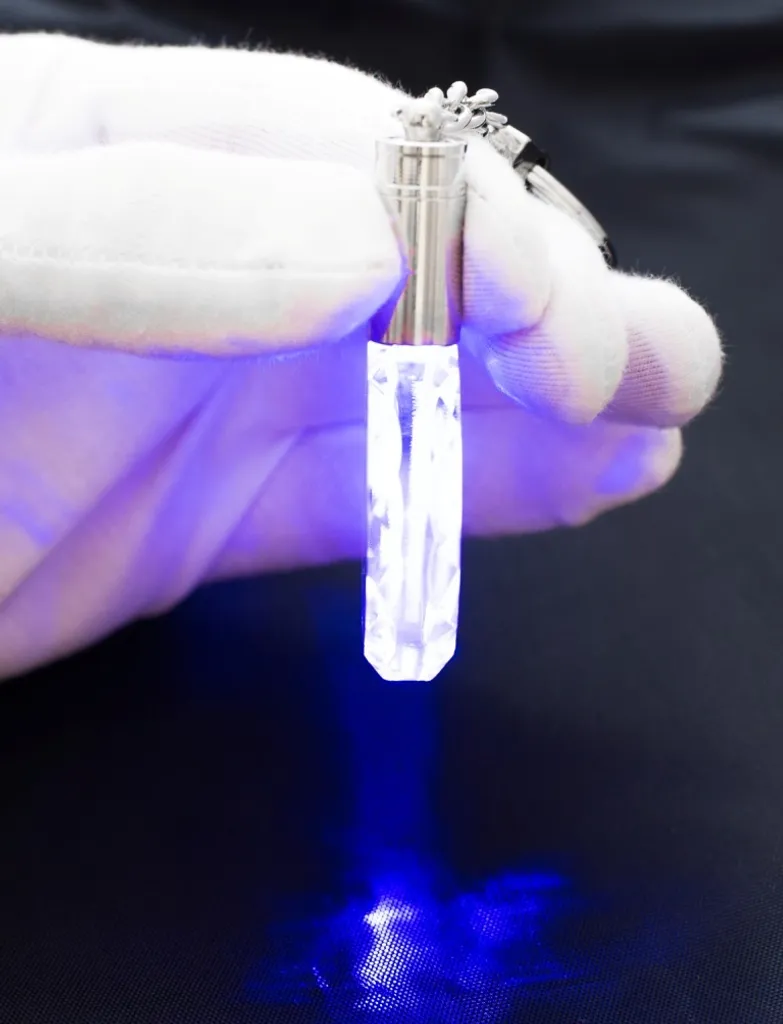 Gioiello Cane Pinscher Austriaco Cristallo Art-Dog | Esclusivo Luxury - 3