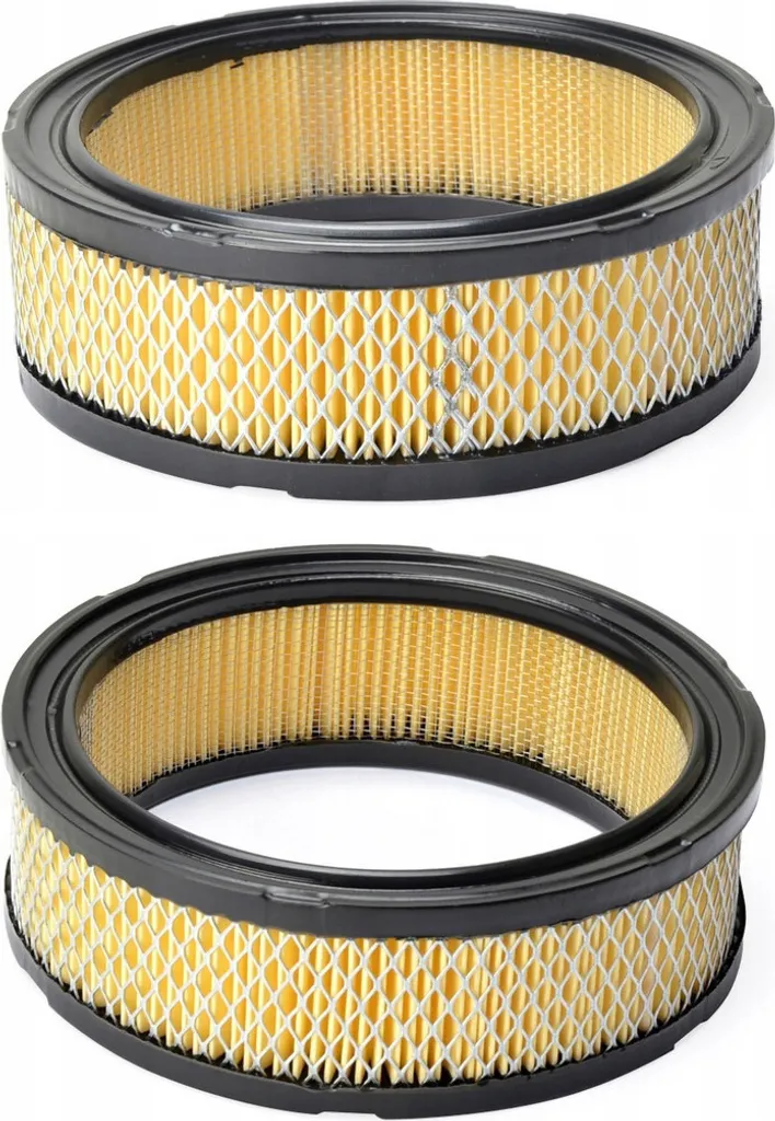Coppia Filtri Aria 394018S per B&S Vanguard e John Deere - Ricambi