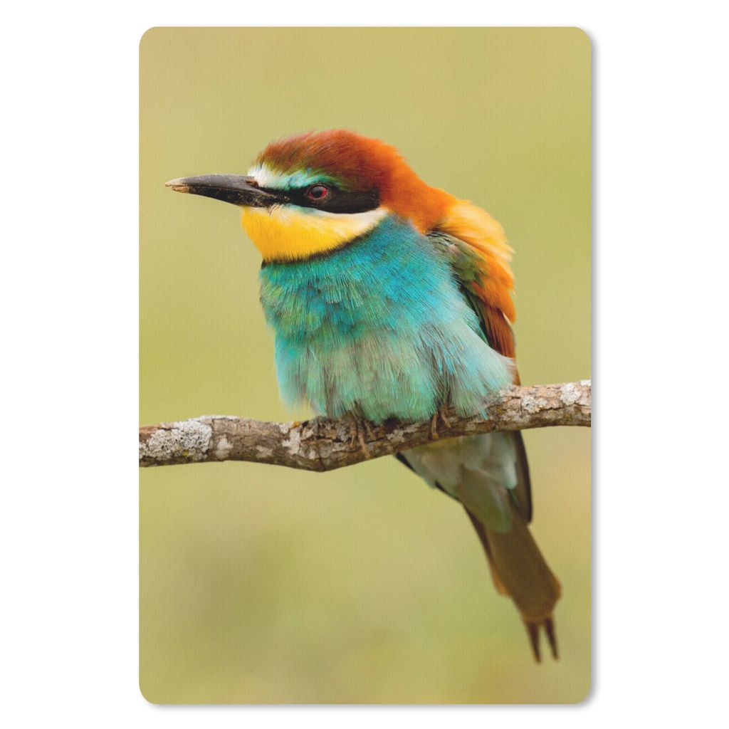 MuchoWow Mauspad Mousepad Vogel - Bienenfresser - Tiere 40x60 cm - Mousepads - Maus Mat - Pad - Mausunterlage - Schreibtisch Accesoire