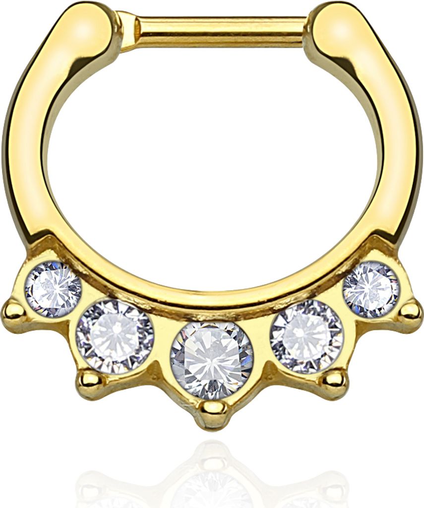 Nasenpiercing Septum Ring Nasenring Piercing Nase Zirkonia Chirurgenstahl Autiga gold-klar
