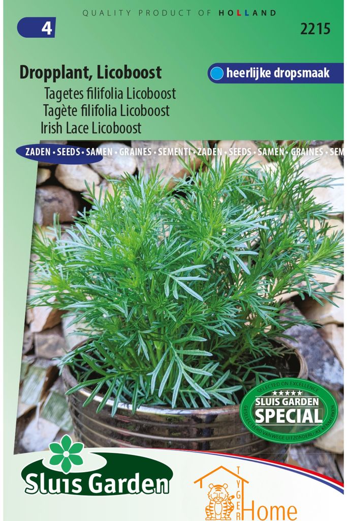 Licoboost Licoboost Tagetes Filifolia Semi - piante Immagine del prodotto 