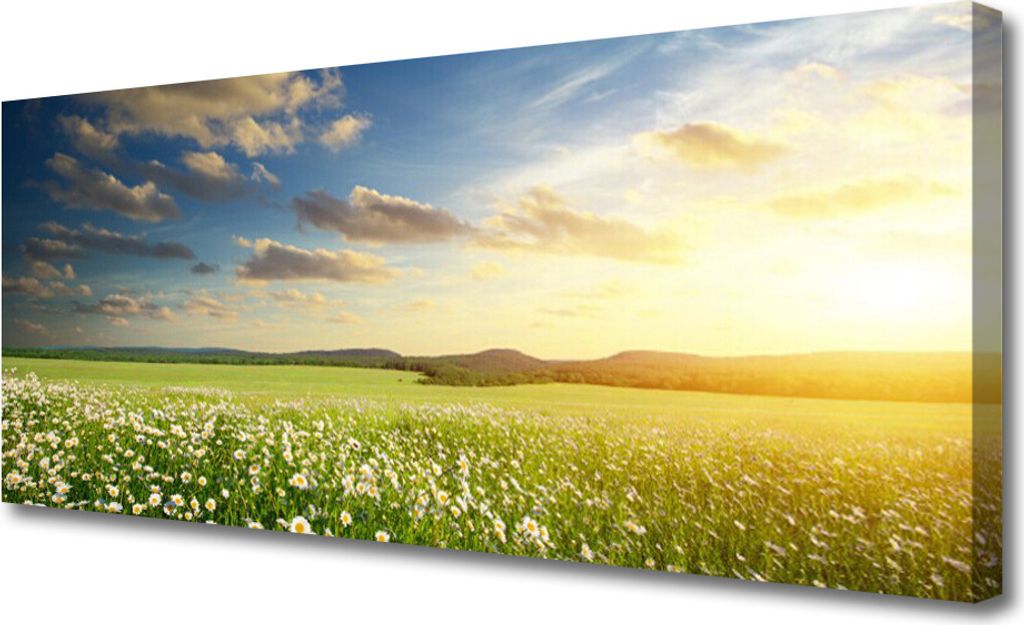 Tulup Leinwand-Bilder 125x50 Wandbild Canvas Kunstdruck Wiese Blumen Landschaft