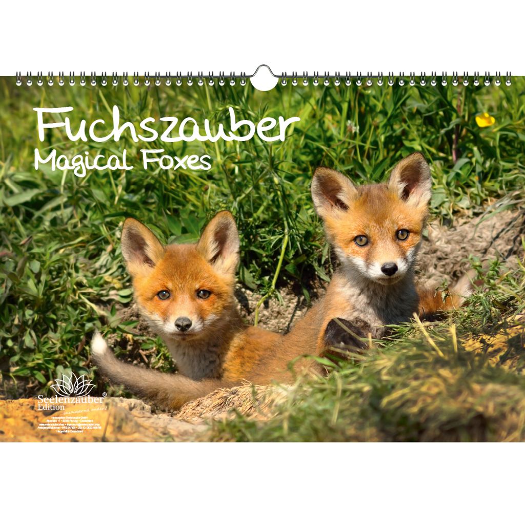 Fuchszauber DIN A3 Kalender - Immerwährender  Kaufland.de