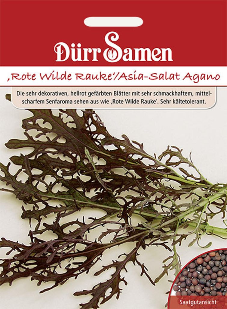 Dürr-Samen - Rote Wilde Rauke Asia-Salat Agano - Saatgut - 1038