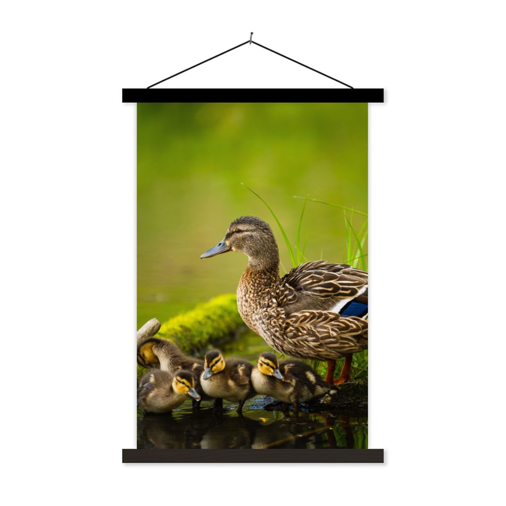 MuchoWow Textilposter Ente - Vögel - Wasser - Zweig - Moos 60x90 cm mit schwarzem Rahmen - Poster Wohnzimmer