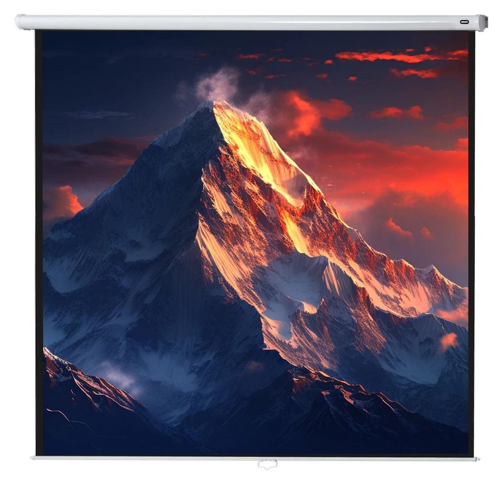 celexon Leinwand Rollo Economy 300 x 300 cm - 167"