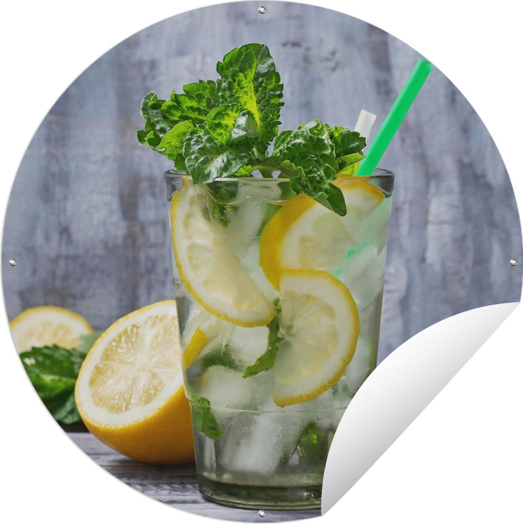 MuchoWow Gartenposter Outdoor-Poster Rund Cocktail - Früchte - Kräuter Ø 90 cm Gartendeko Rundes Poster draußen