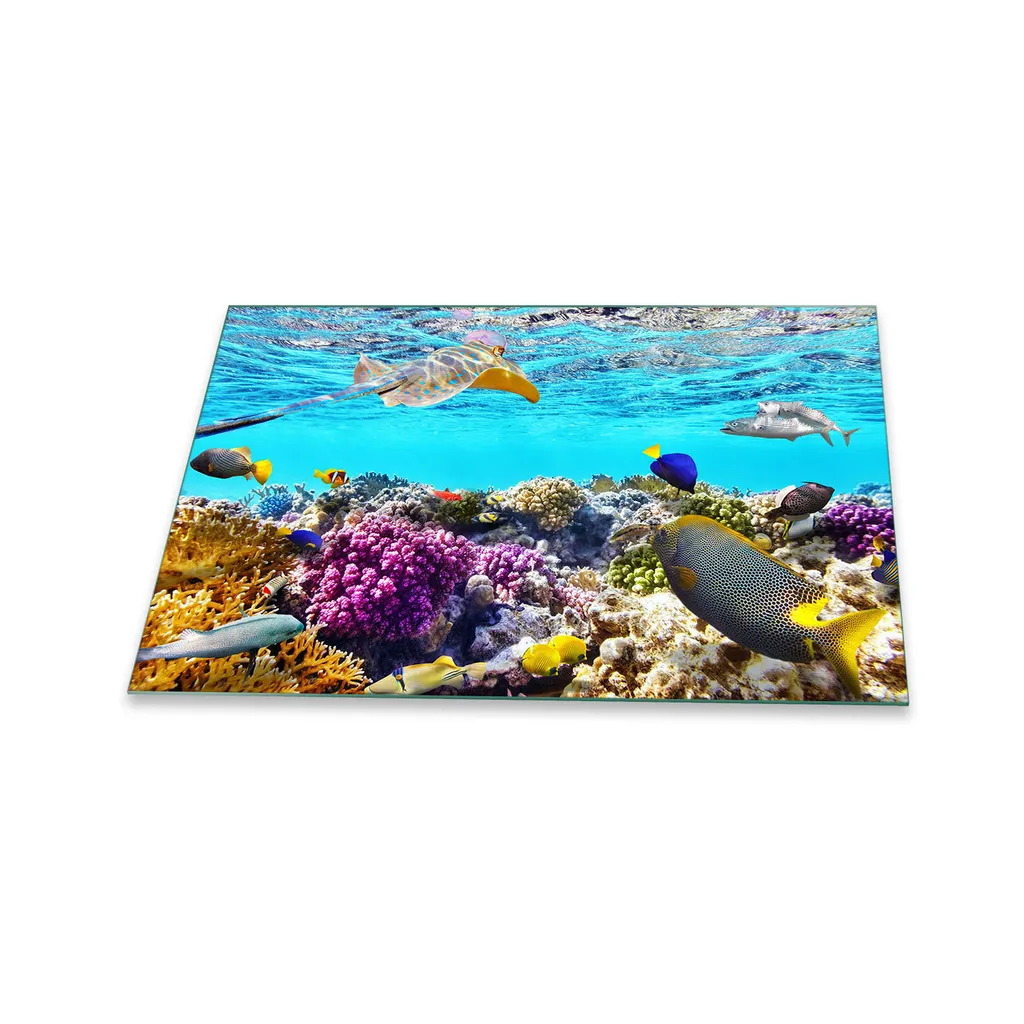 Piastra Vetro 80x52 per Induzione Sea Colourful | Tagliere e Copertura