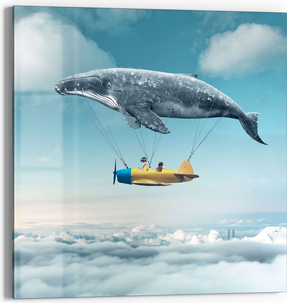 DEQORI Magnettafel Glas 50x50 cm 'Buckelwal-Zeppelin' beschreibbar Whiteboard