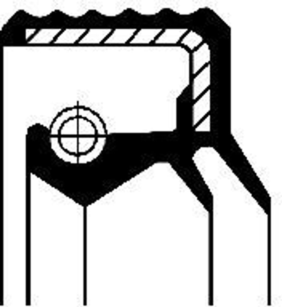 CORTECO Dichtring 12012106B