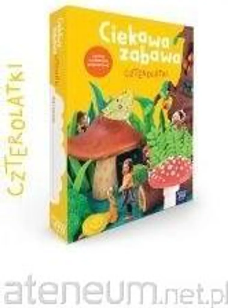Set Éveil Créatif 4 ans Ciekawa Zabawa avec Cartes de Jeux Logiques