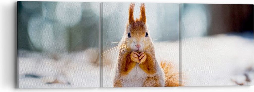 Bild auf Leinwand - Leinwandbild - Eichhörnchen Winter Schnee Essen - 90x30cm - Wand Bild - Wanddeko - Leinwanddruck - Bilder - Kunstdruck - Wandd...