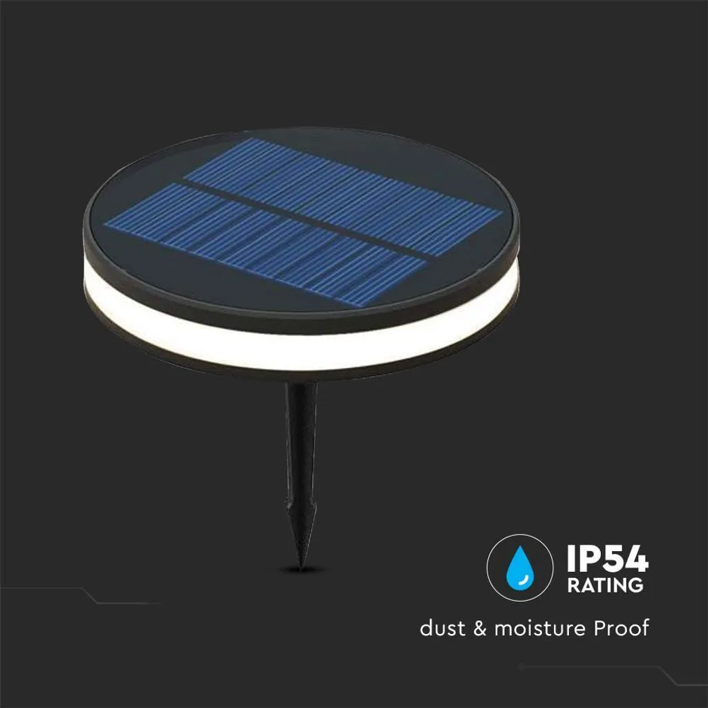 Lampe Solaire Jardin à Piquer Noire - Balisage Extérieur 90 Lumens