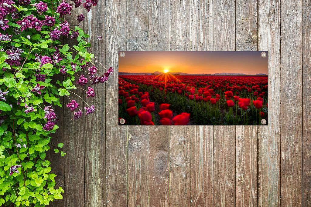 MuchoWow 80x40 cm Outdoor-Poster Gartendeko Sichtschutz Garten Poster für den Garten Ein Feld mit nur roten Tulpen