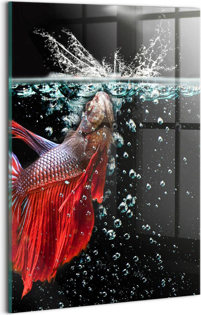 Designer Glasbild - Wandbild - Glas Bild - 20x30 cm - Fische Im Aquarium
