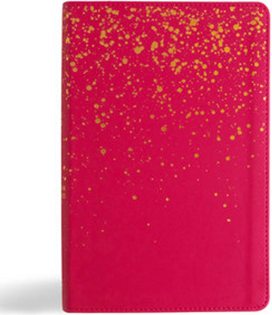 CSB Kids Bible, Pink Leathertouch
