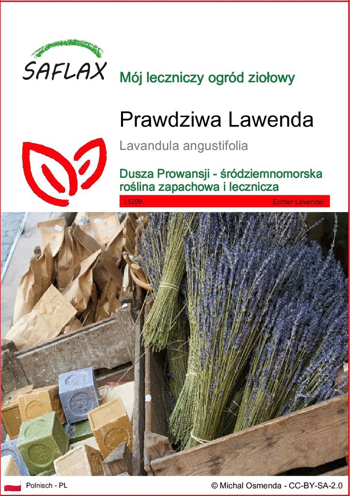 SAFLAX - Prawdziwa Lawenda - 150 Nasiona - Lavandula Zdjęcie produktu 