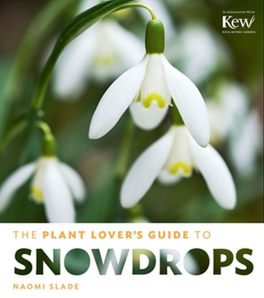 Plant Lovers Guide To Snowdrops – Lingua: Inglese