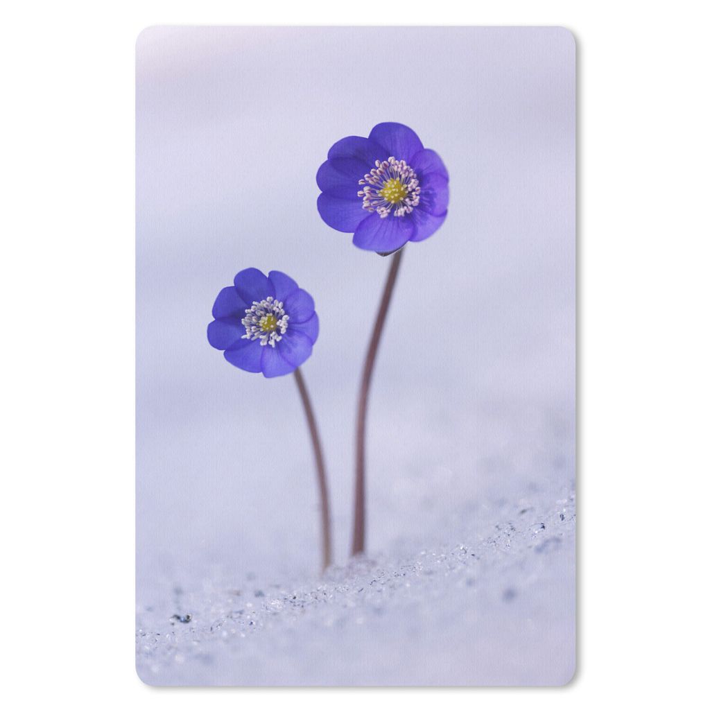 MuchoWow Mauspad Mousepad Blumen - Schnee - Lila 18x27 cm - Mousepads - Maus Mat - Pad - Mausunterlage