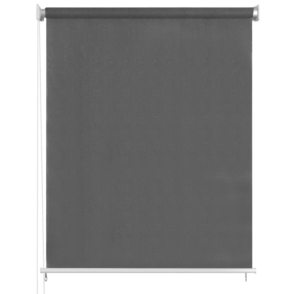 vidaXL Store extérieur 60x230 cm Anthracite Image du produit 