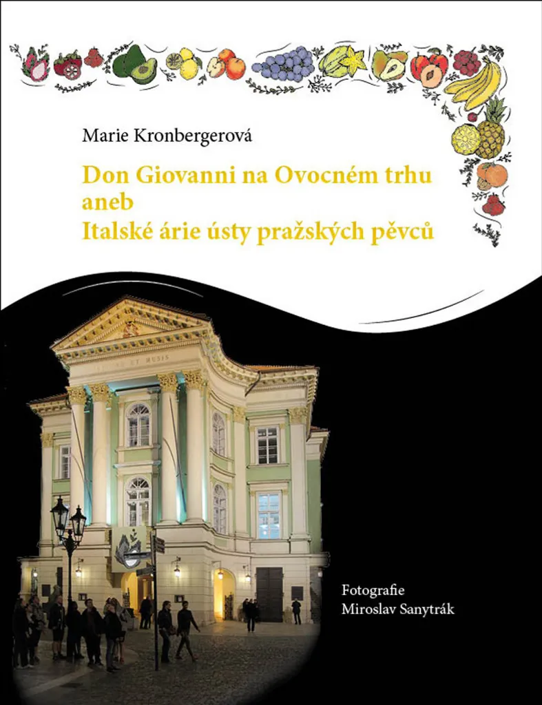 Livre Musique Don Giovanni Marie Kronbergerová Idéal Cadeau Musicologue