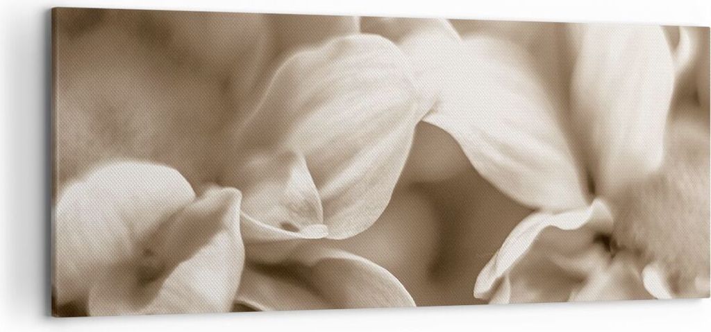 Bild auf Leinwand - Leinwandbild - Einteilig - Blumen Boho Produktbild 