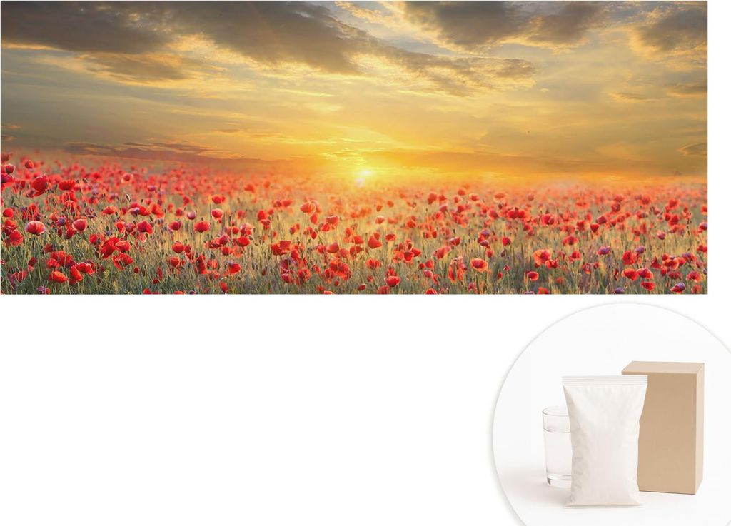 Fototapete - Wandbilder für Wohnzimmer - 208x146 cm - Dekorative Wandfolie - Modernes Design für Wanddekoration - Tapeten für Innenräume - Mohn...