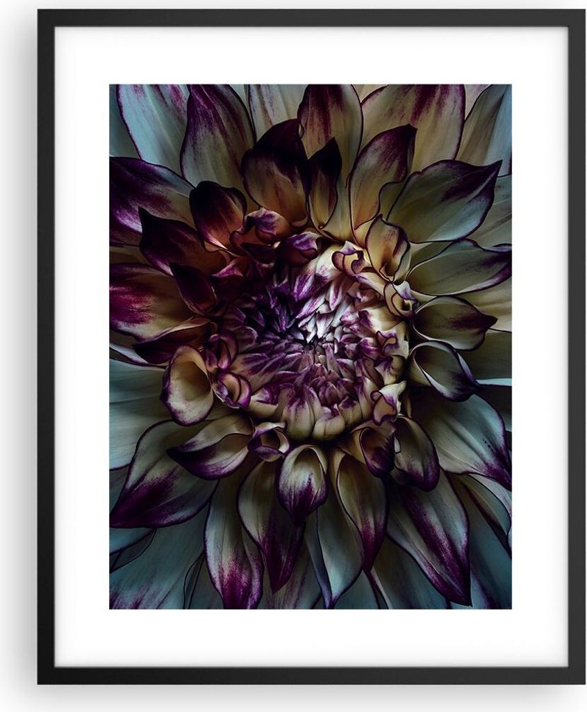 Gerahmtes Poster - Schwarzer Rahmen - Blätter Agave Blume - 40x50 cm - Wand Bild - Wanddeko - Wandbilder - Kunstposter - Wandposter - Bilderrahmen...