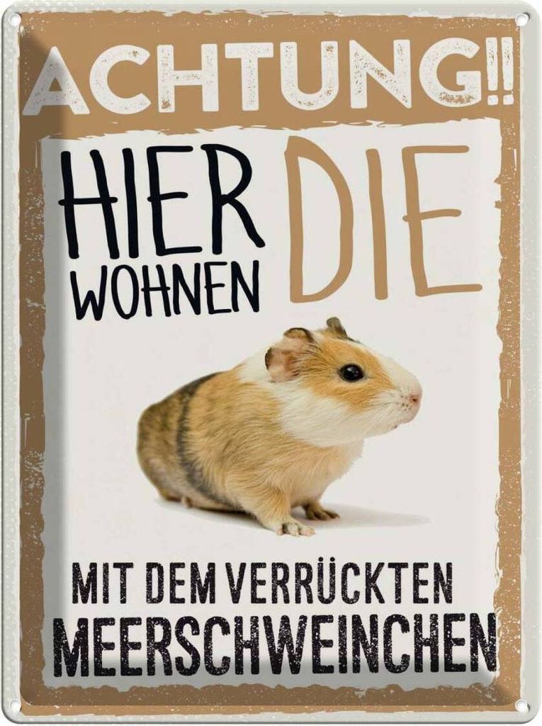 vianmo Blechschild 40x30 cm Tiere Achtung hier Meerschweinchen Tier Haustier