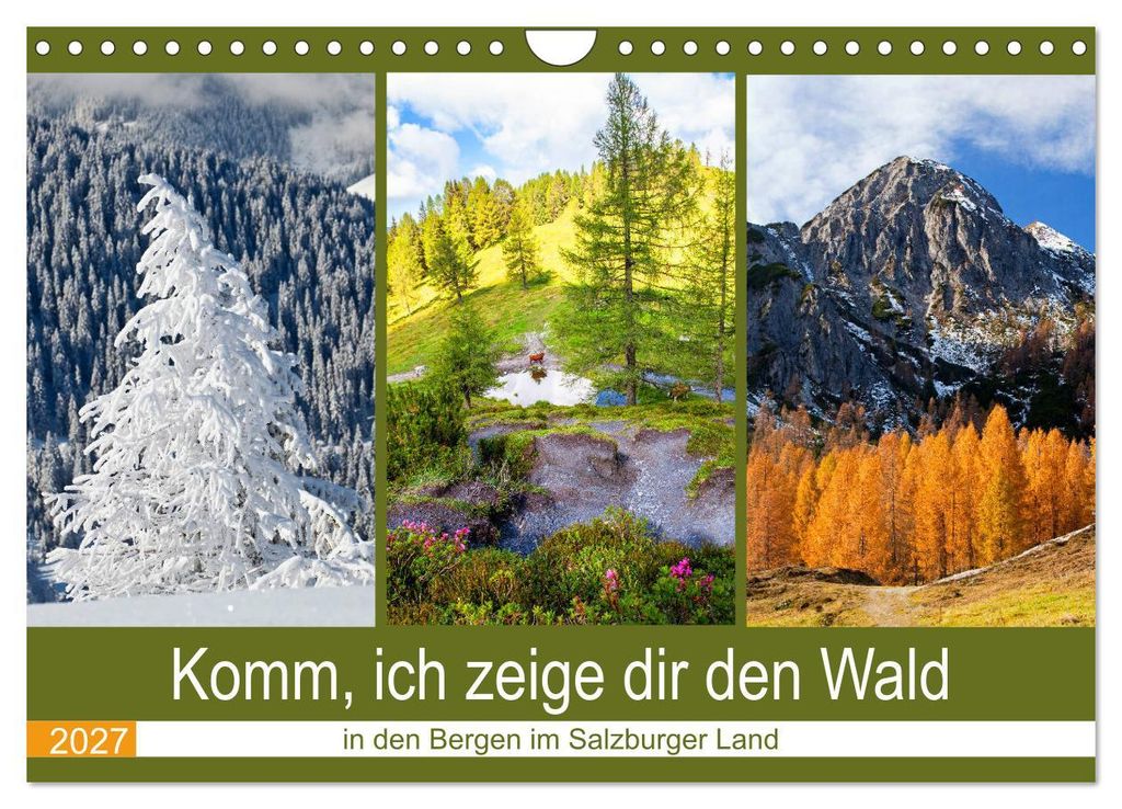 Komm, ich zeige dir den Wald (Wandkalender 2027 DIN A4 quer), CALVENDO Monatskalender