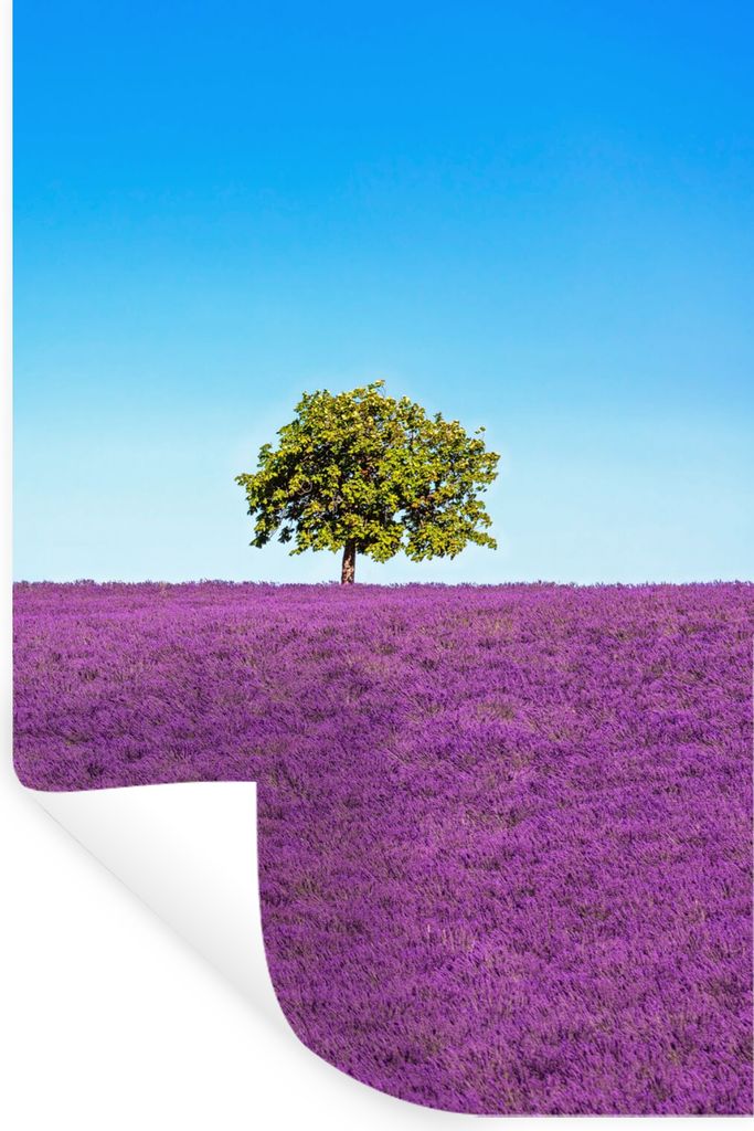 MuchoWow Wandtattoo Wandsticker Wandaufkleber Baum - Lila - Himmel - Lavendel 60x90 cm Selbstklebend und Repositionierbar - Sticker - Dekorfolie