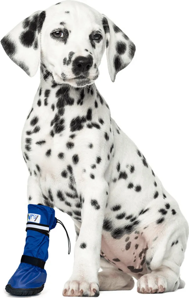 Bottes médicales imperméables chien Medical PetS Boot - Protection blessures