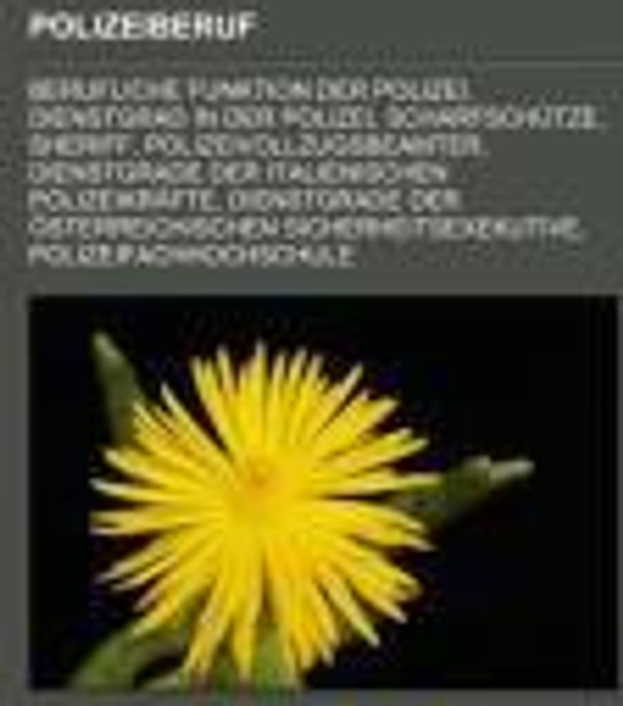 Polizeiberuf