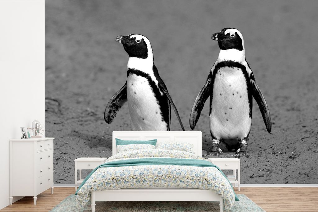 MuchoWow Fototapete für Wohnzimmer oder Schlafzimmer Wandtapete Vinyl Motivtapete Zwei kleine Schwarzfußpinguine spazieren zusammen - schwarz u...