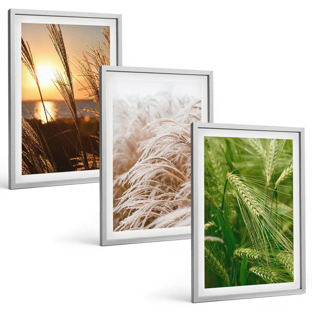 Bilder Set 3-teilig im silbergerahmten Rahmen – Wandbilder 3 Stück – gerahmte Poster für Wohnzimmer, Schlafzimmer und Flur – 40x60 cm – G...