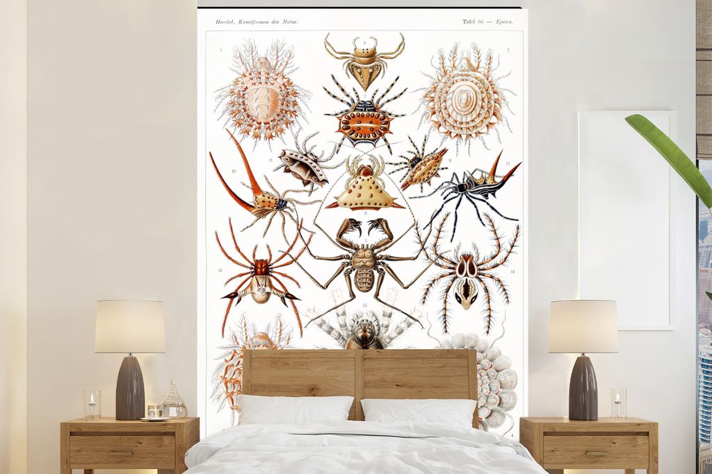 MuchoWow Fototapete für Wohnzimmer oder Schlafzimmer Wandtapete Vinyl Motivtapete Retro - Spinne - Ernst Haeckel - Spinnen - 180x280 cm - Wallpaper