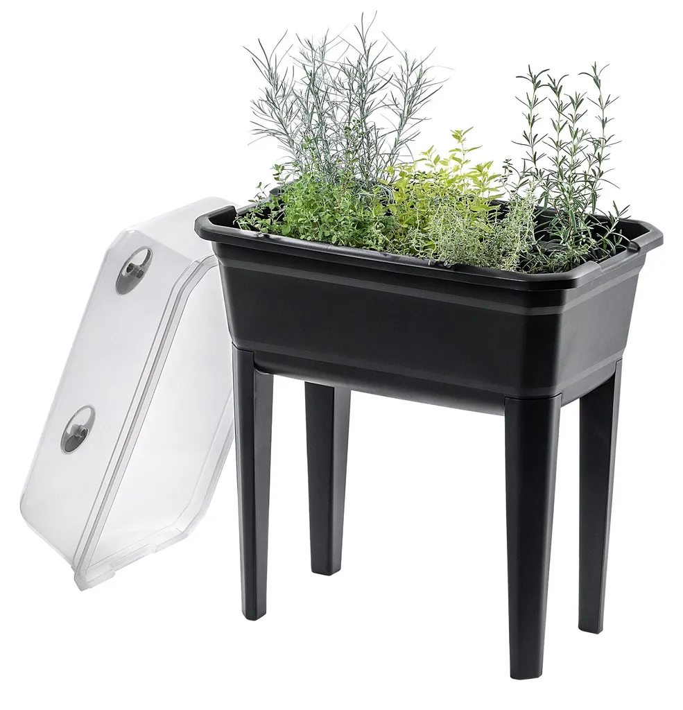 Mini-serre avec Aération Ajustable et Structure Haute de 75 cm en 42L - 5