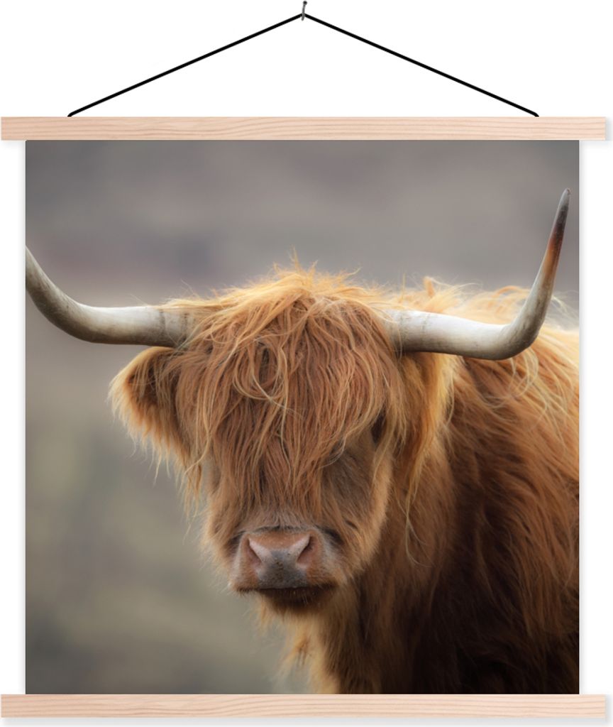 MuchoWow Textilposter Schottisches Hochlandrind - Licht - Porträt 60x60 cm mit holzfarbenen Rahmen - Wanddekoration